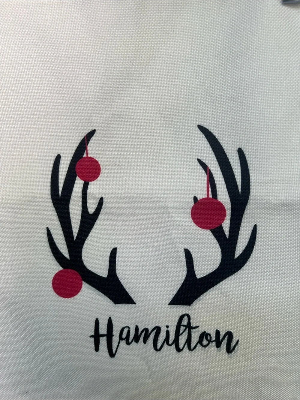 NWOT Personalized Reindeer Pillow Cover - “Hamilton”